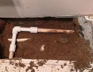 五华测漏水哪家好