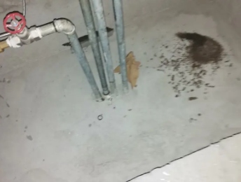 五华卫生间测漏水价格明细