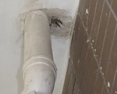 五华漏水检测哪家好